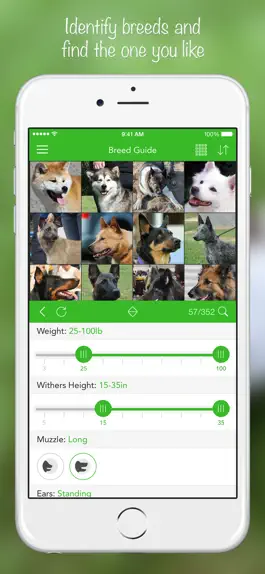 Game screenshot iKnow Dogs 2 PRO apk