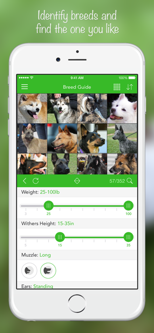 ‎Снимка на екрана на iKnow Dogs 2 PRO