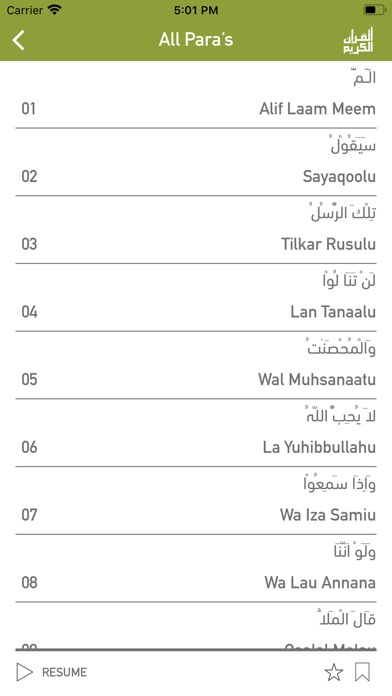 Quraan-E-Karim (11 Lines) Screenshot