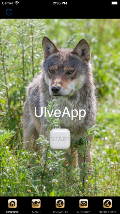 UlveApp Screenshot