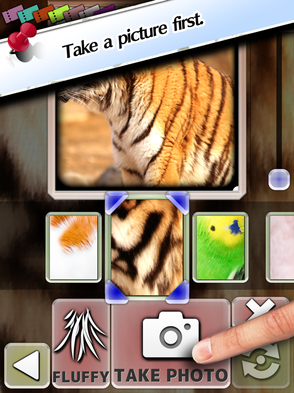 Fluffy Camera iPad screenshot 1 - Photo & Video app