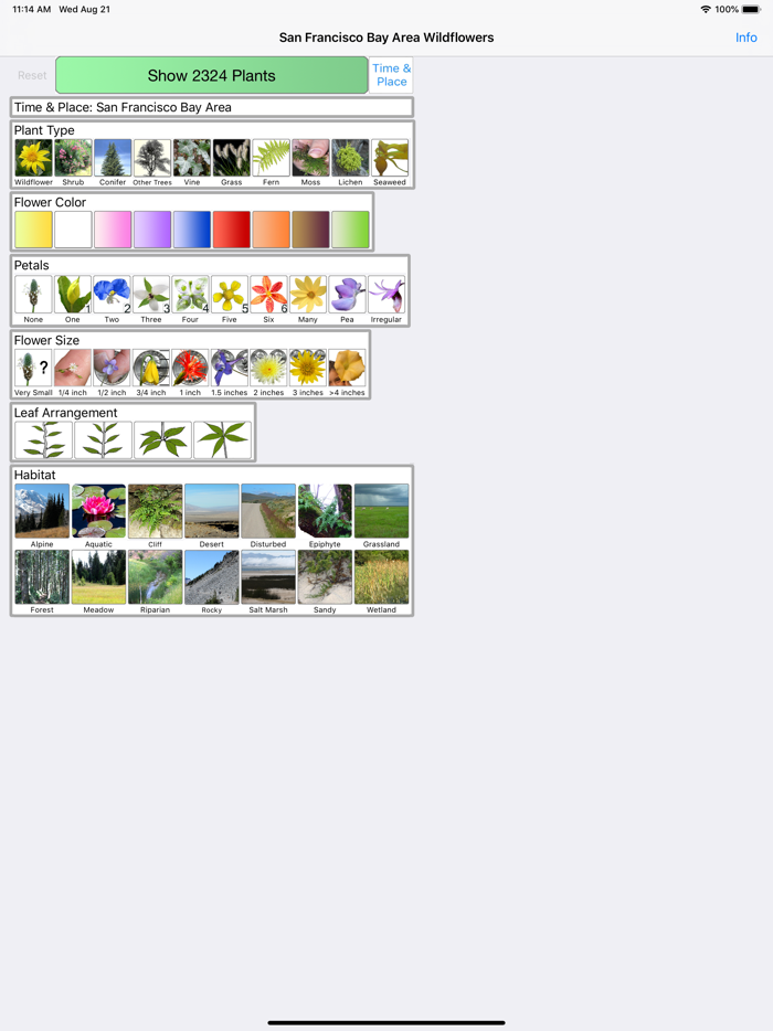 SF Bay Area Wildflowers