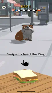 feed the dog ! iphone screenshot 1