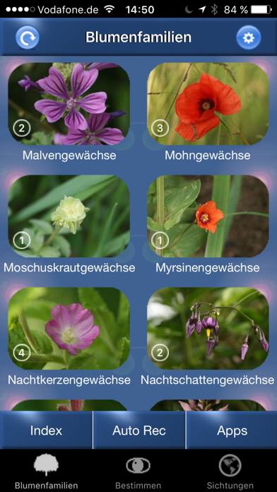 Blumen Id Automatik Screenshot