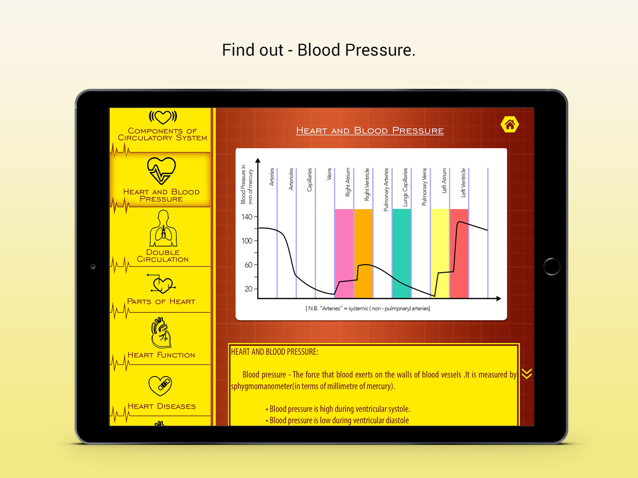 Mammalian Heart screenshot 2