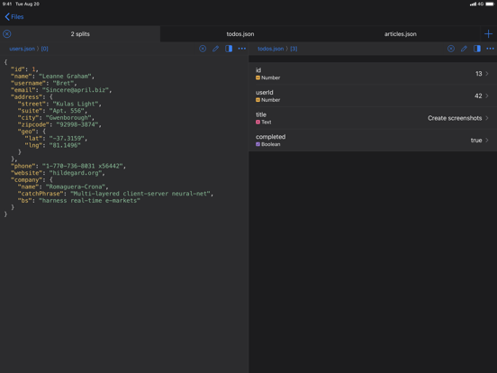 Jayson iPad screenshot 4 - Developer Tools app