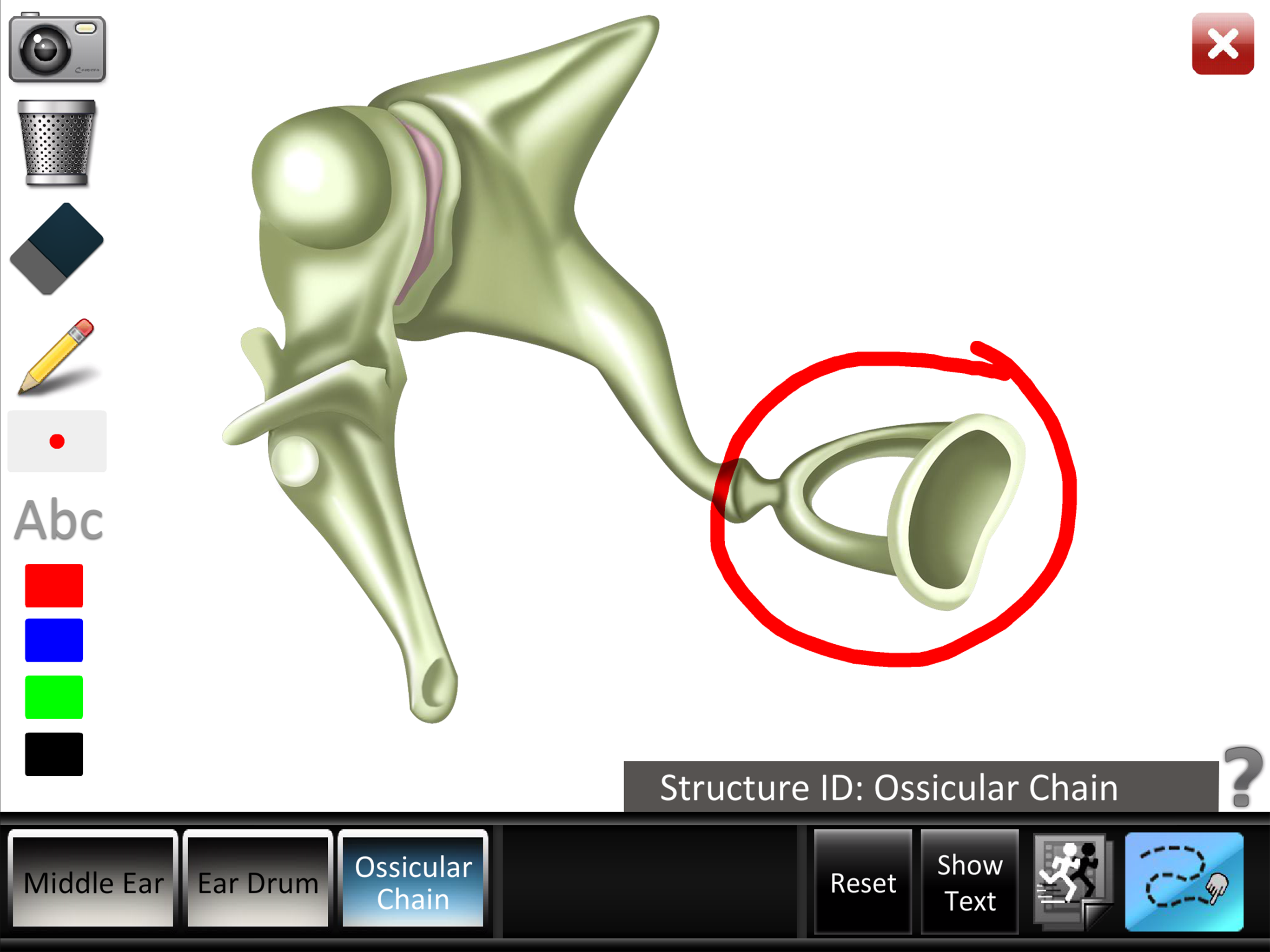 Middle Ear ID screenshot 9