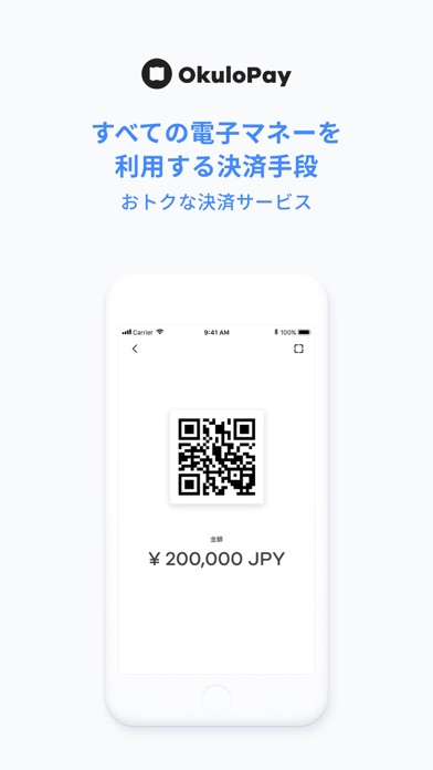 Screenshot #3 pour OkuloPay