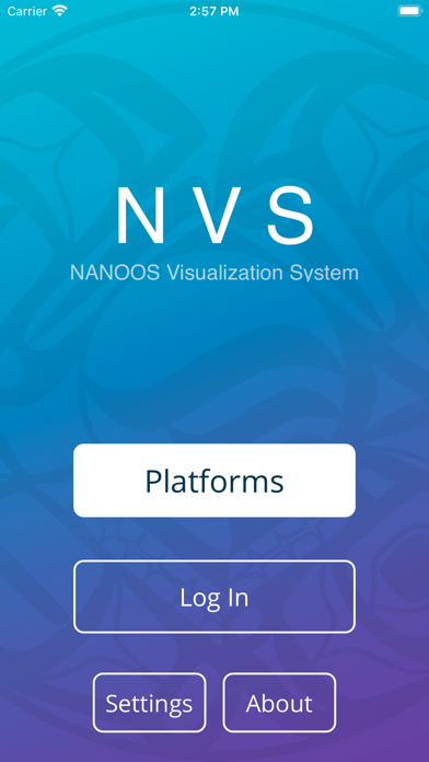 NVS Explorer Screenshot