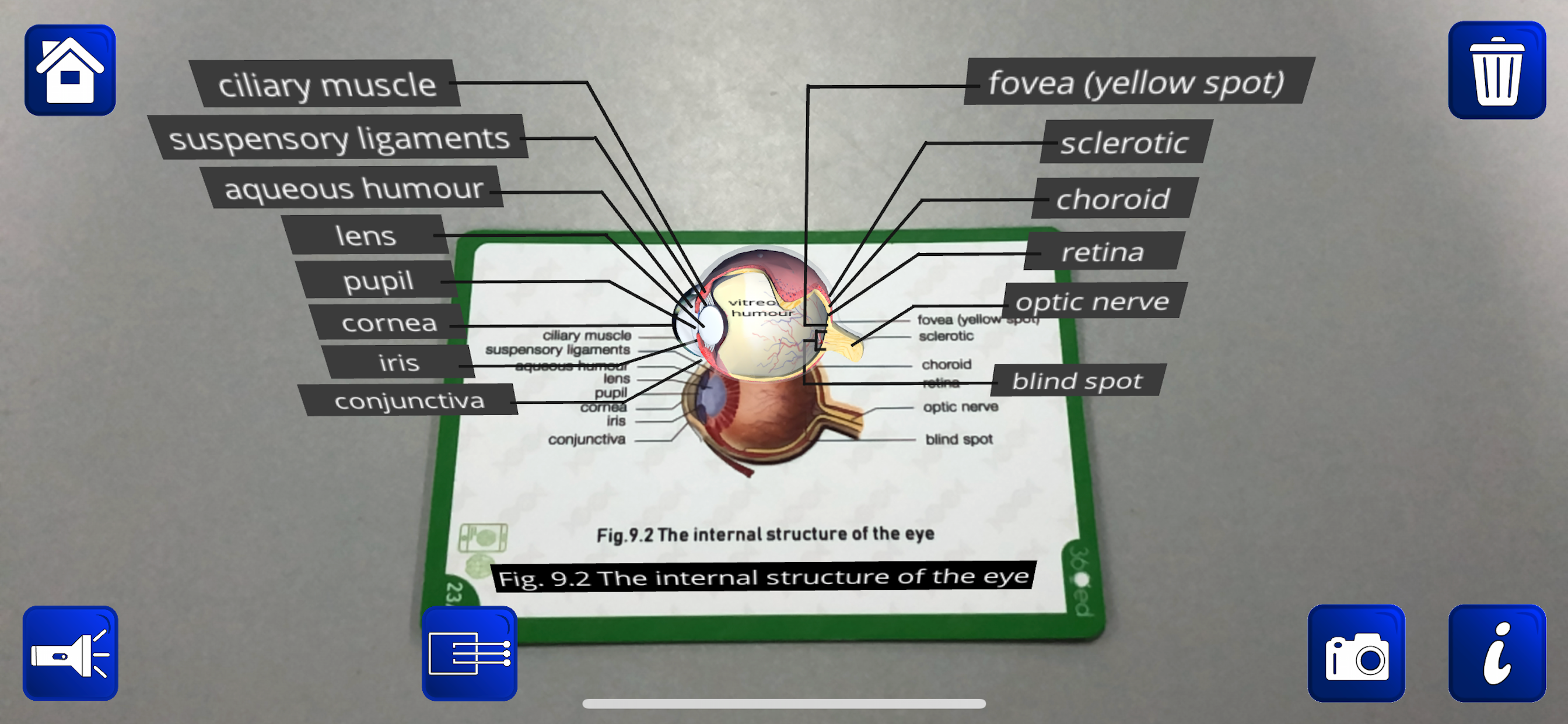 Dat Thin Pone Biology AR screenshot 3