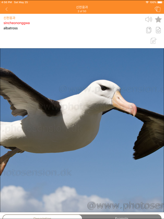 Screenshot #6 pour Learn Korean with pictures