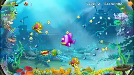 Game screenshot Feeding Frenzy - Eat The Fish mod apk