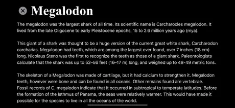 Megalodon