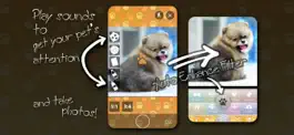 Game screenshot Camera Pets mod apk