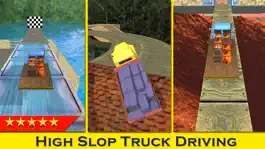 Game screenshot Trucker Transporter Parking 3D apk