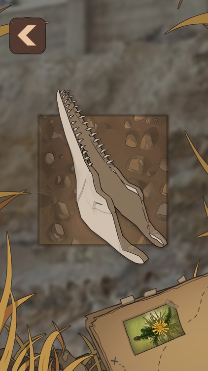Fossil Discovery Adventure screenshot-5