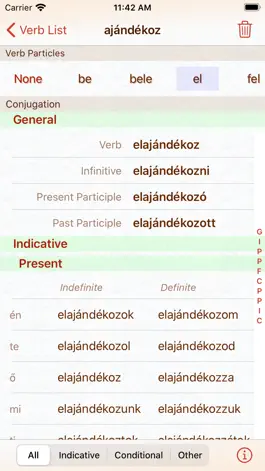 Game screenshot Hungarian Verb Conjugation apk