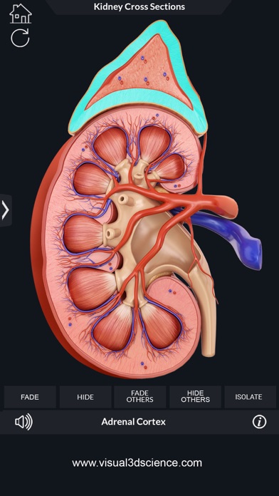 How to cancel & delete Urinary System from iphone & ipad 4