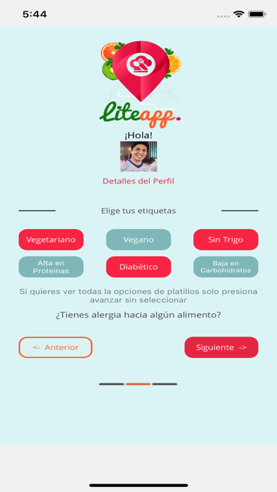 LiteApp Food screenshot 2