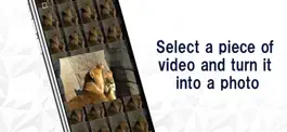 Game screenshot Video To Photo -Video to image apk
