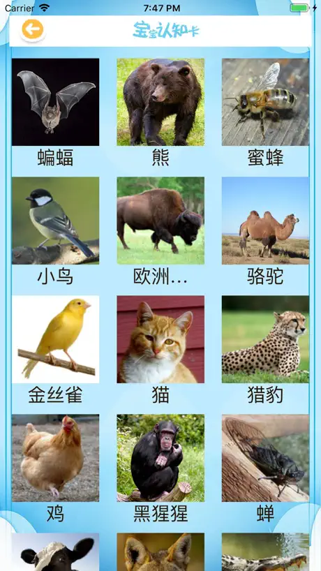 幼儿园儿歌 米奇妙妙屋启蒙童话故事