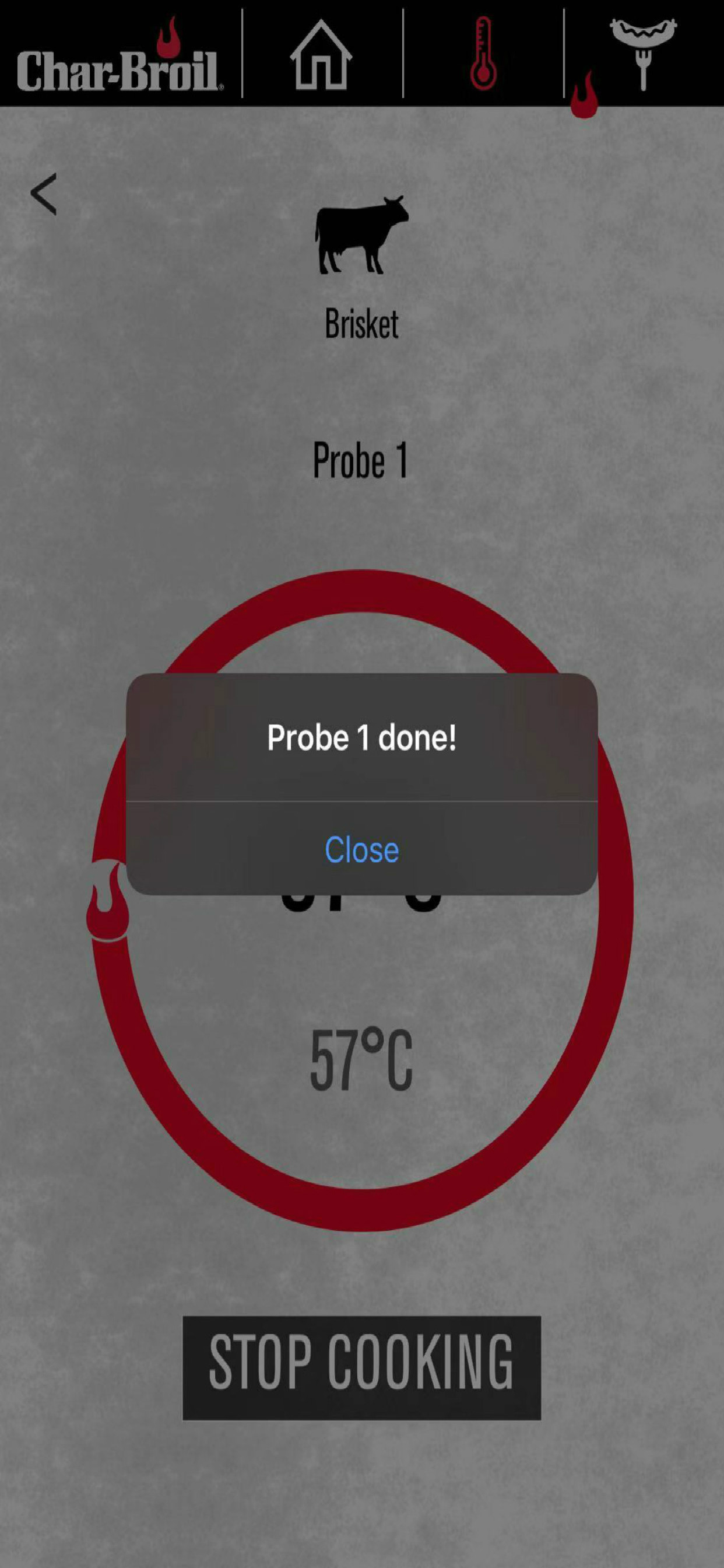 Char-Broil Smart Thermometer