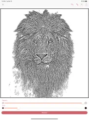 tattoo stencil ipad images 4