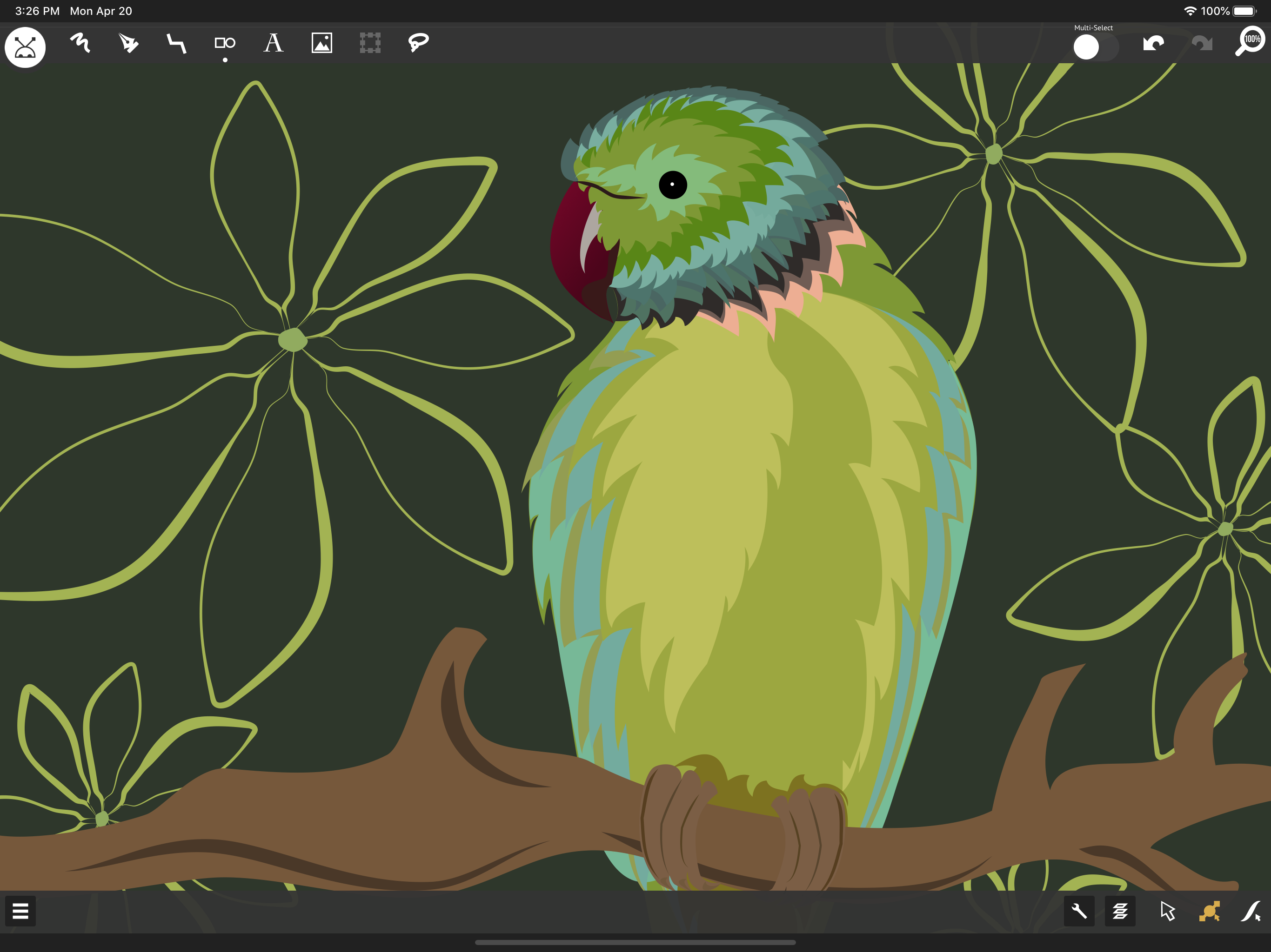 miniDraw 2 Starter: Vector Art