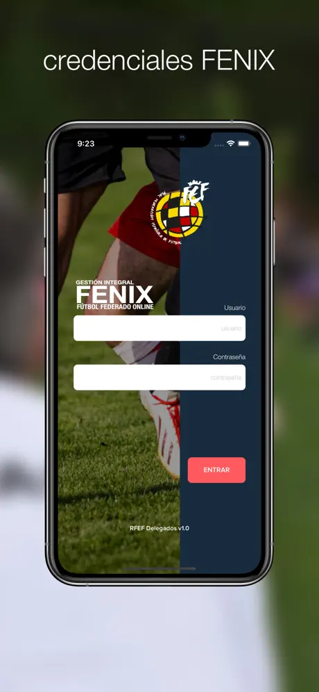 RFEF Delegados