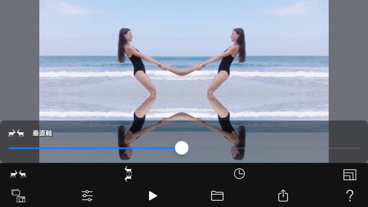 Symmetry Video Camera screenshot-0