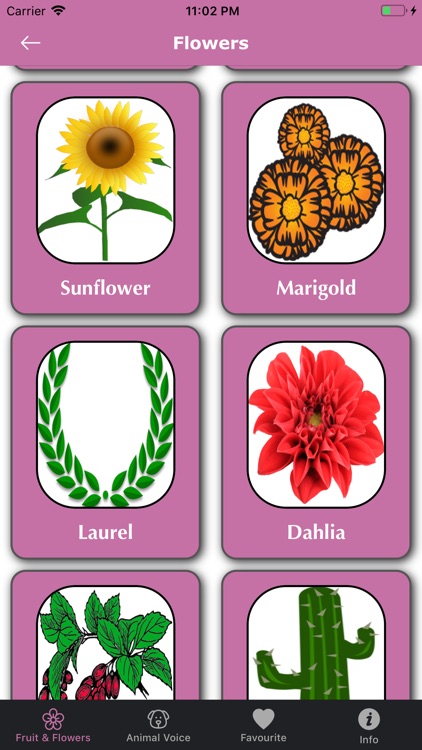 Jag Fruit & Animal Voice screenshot-3