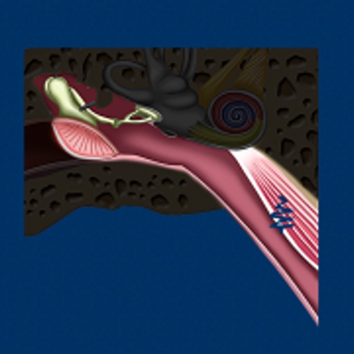 Middle Ear ID