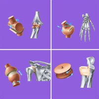 Joints: The Human Levers