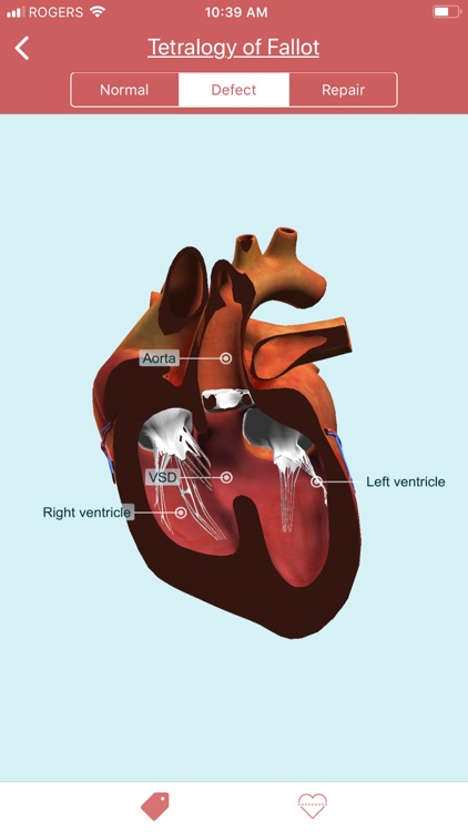 eMurmur Heartpedia screenshot-5