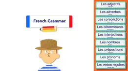 french grammar problems & solutions and troubleshooting guide - 3
