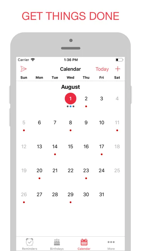BZ Reminder PRO