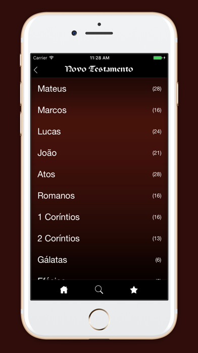 Holy Bible in Portuguese Screenshot