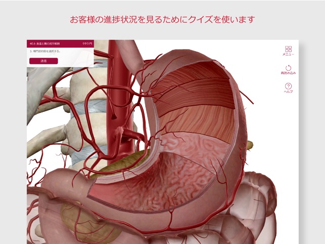 解剖学的構造と生理学」をApp Storeで