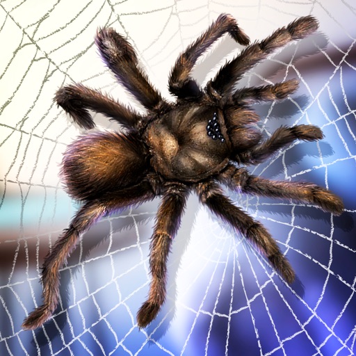 Spider Pet Survival Simulator iOS App