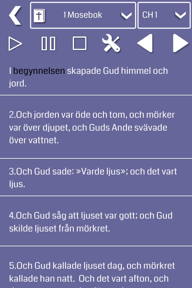 Swedish Bible Audio screenshot 4