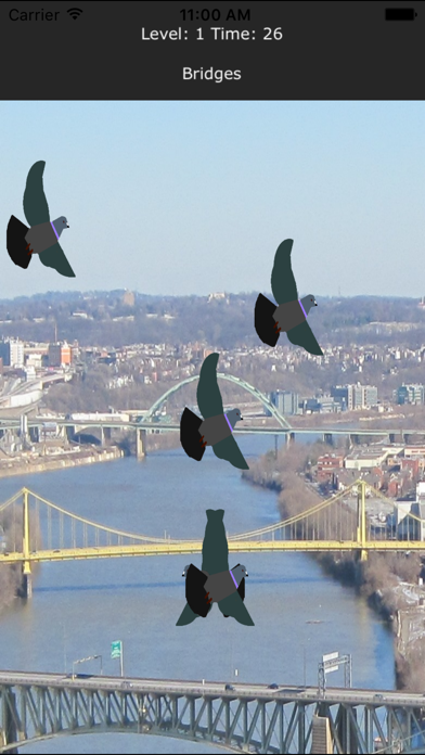 Screenshot #1 pour Pigeon Shoo