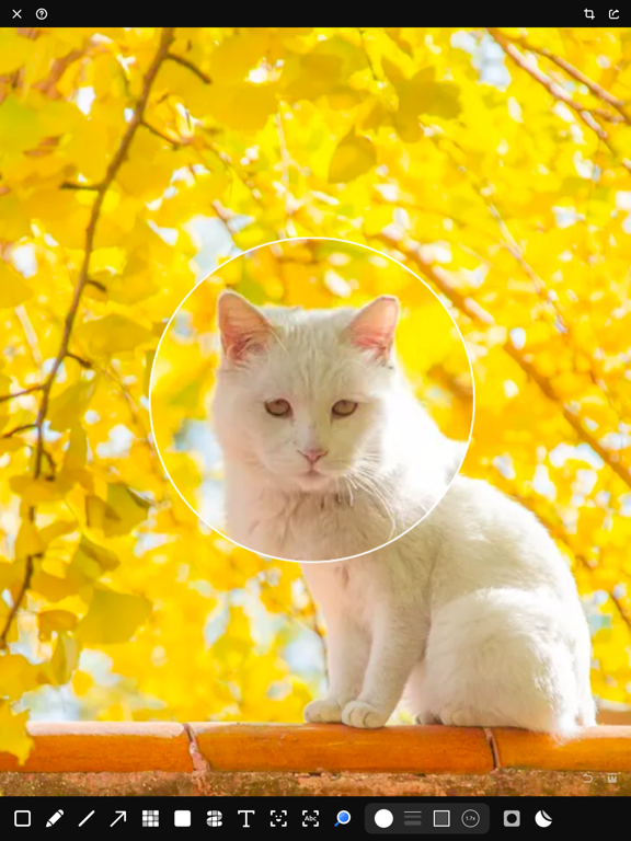 Piiico · Image Annotation iPad screenshot 4 - Utilities app