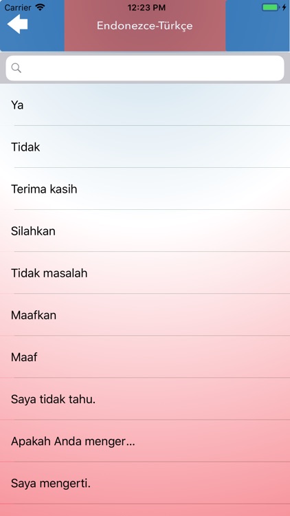 Türkçe Endonezce Sözlük screenshot-3