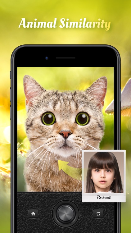 Magic Cam - Face Photo Editor by Wudi Hudong(Guangzhou)Technology Co.,Ltd