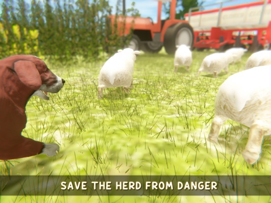 Screenshot #5 for Silly Sheep Run- Farm Dog Game