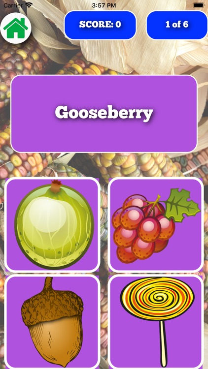 Food Flash Cards Quiz screenshot-6