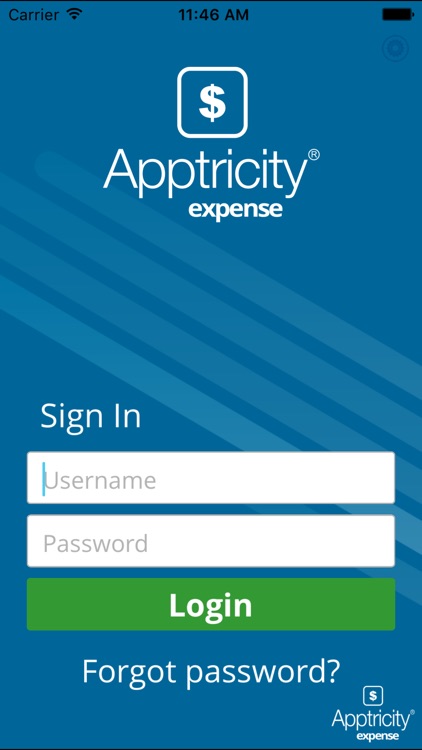 Apptricity Expense