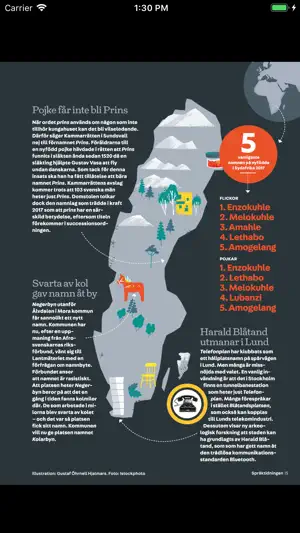 Språktidningen screenshot 3