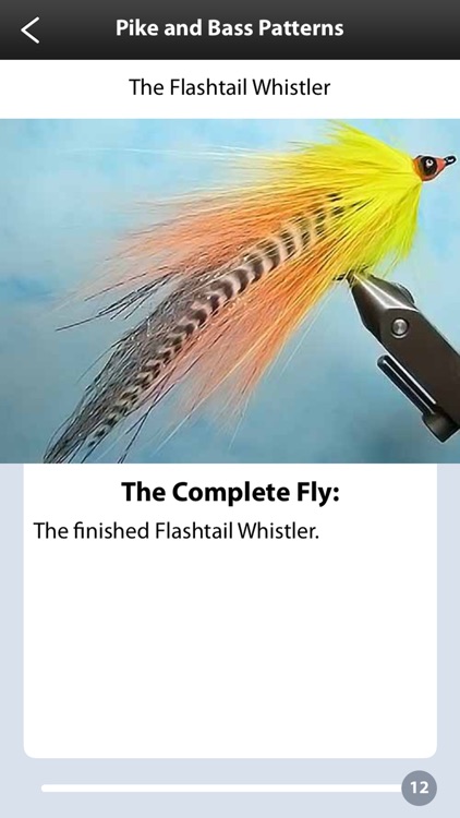 Fly Fishing Guide: Tying Flies screenshot-3
