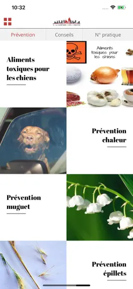 Game screenshot L'Académie Des Chiens hack